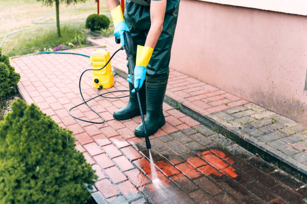 Roof Power Washing Services in Dillonvale, OH